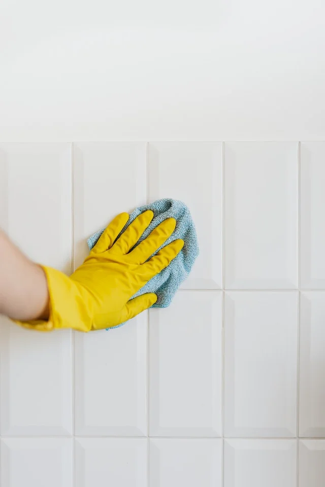 Clean Molds off Walls