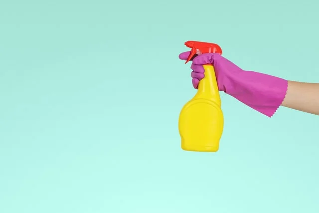 get rid of mold on walls